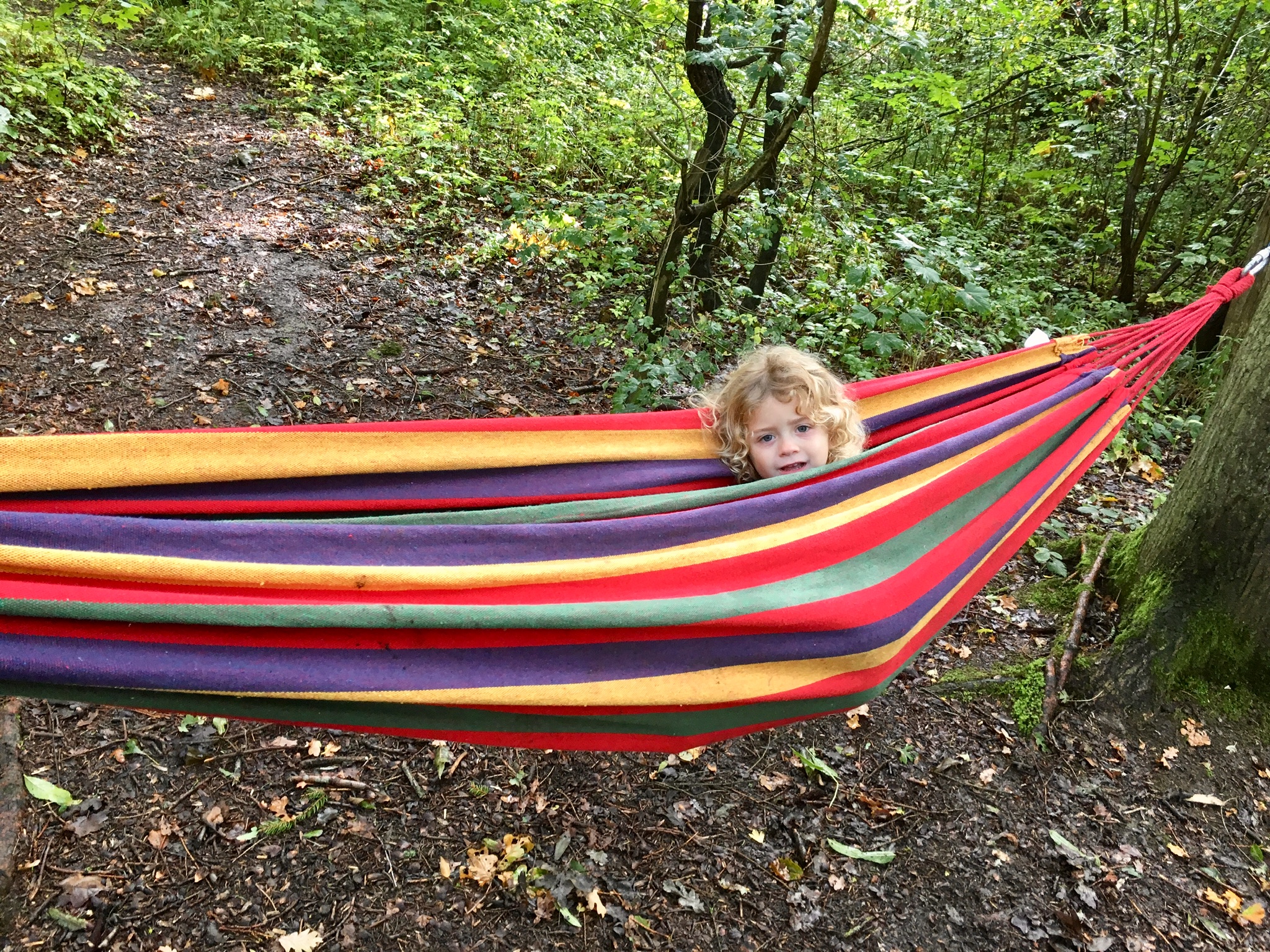 preschool-forest-school-weekly-ticket-forestry-england